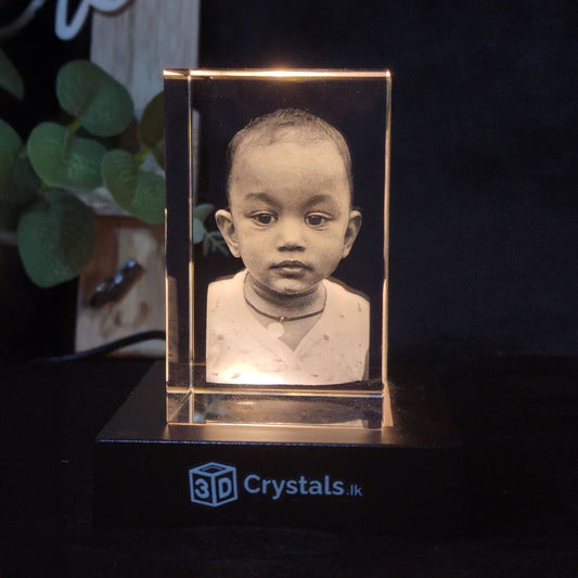 3D Crystal Rectangle Portrait