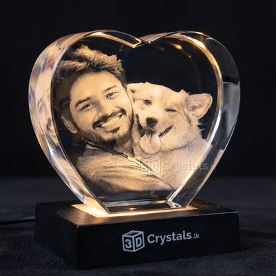 heart medium 3d pets