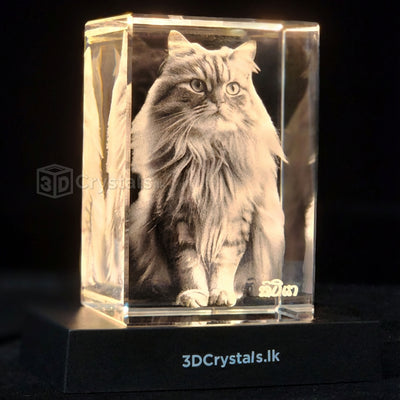 rectangle-portrait medium 3d pets