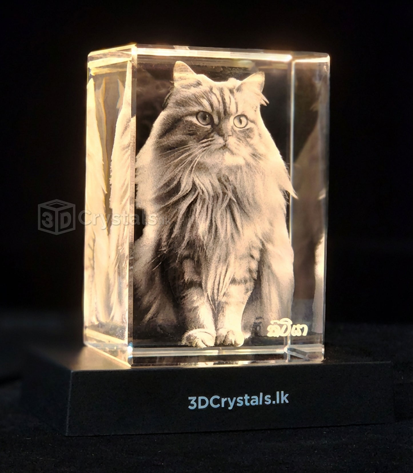 Personalized 3D crystal photo gift from 3Dcrystals.lk, crafted in Sri Lanka , Pet portrait Cat in a 3D crystal 