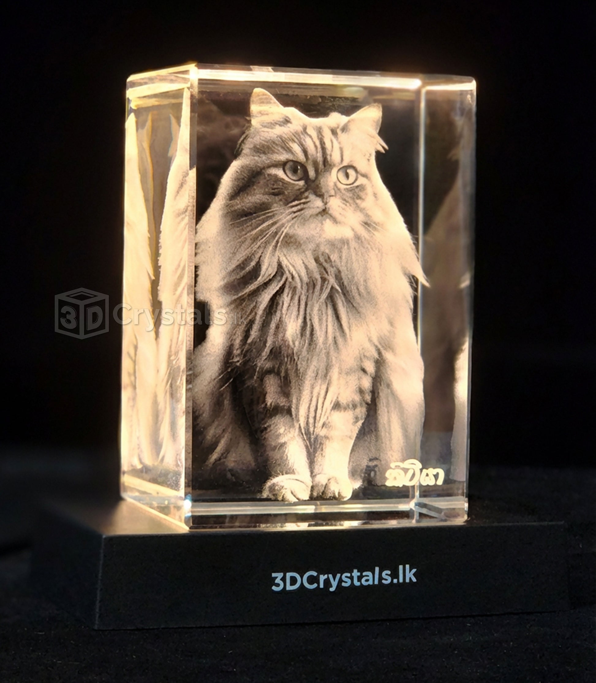 Personalized 3D crystal photo gift from 3Dcrystals.lk, crafted in Sri Lanka , Pet portrait Cat in a 3D crystal 