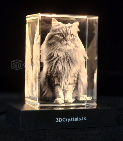 Personalized 3D crystal photo gift from 3Dcrystals.lk, crafted in Sri Lanka , Pet portrait Cat in a 3D crystal 