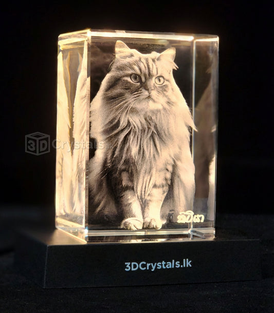 Personalized 3D crystal photo gift from 3Dcrystals.lk, crafted in Sri Lanka , Pet portrait Cat in a 3D crystal 